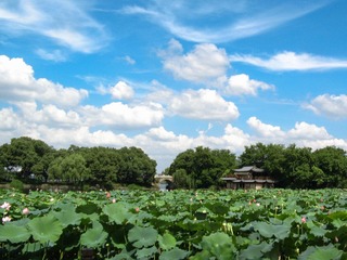 201207-西湖-7.jpg