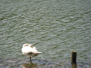 201207-西湖-17.jpg