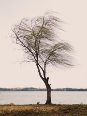 1727459