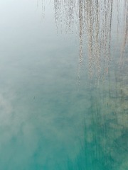 1725368