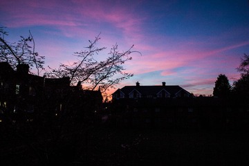 IMG_0272.jpg