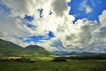 IMG_1377.JPG