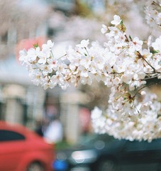 B540A649-C654-4C14-A261-8F47D3D39FB8/L0/001