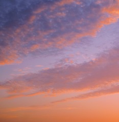 87F4535C-A544-47EF-94E8-F92B80A86B17/L0/001