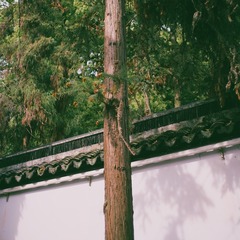 142F7D8E-D902-492F-88B7-03CBBCEEA084/L0/001