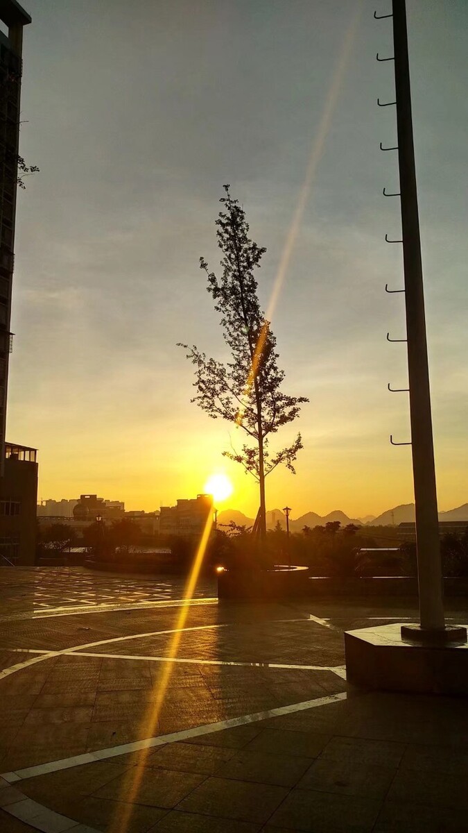 直照广场
