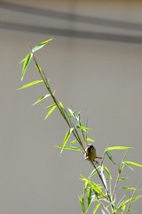 95801
