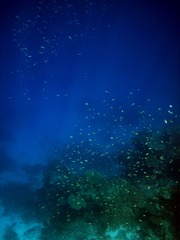 IMG_0152.jpg