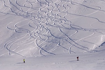_DSC8048.jpg