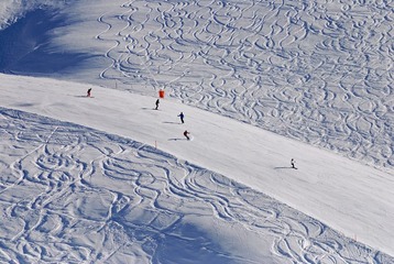 _DSC8050.jpg