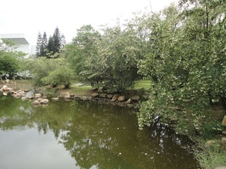 DSC09899.JPG