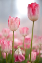 “_MG_6310”为智能对象-1.jpg