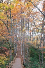 _MG_3978.jpg