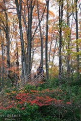 _MG_3992.jpg