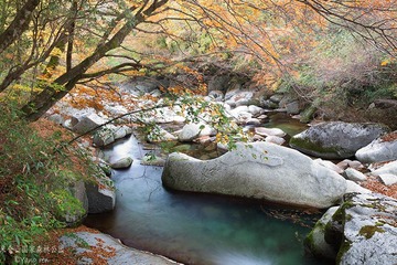 _MG_3773.jpg