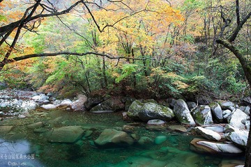 _MG_3814.jpg
