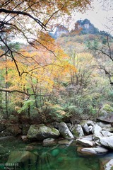 _MG_3818.jpg