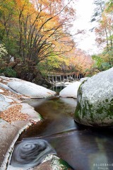 _MG_3832.jpg
