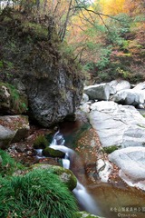 _MG_3874.jpg