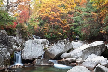 _MG_3882.jpg