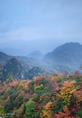 _MG_4205.jpg