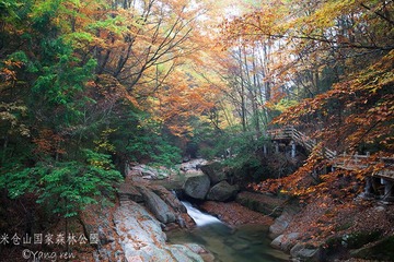 _MG_4270.jpg