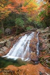 _MG_4289.jpg