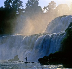 Image11_1.jpg