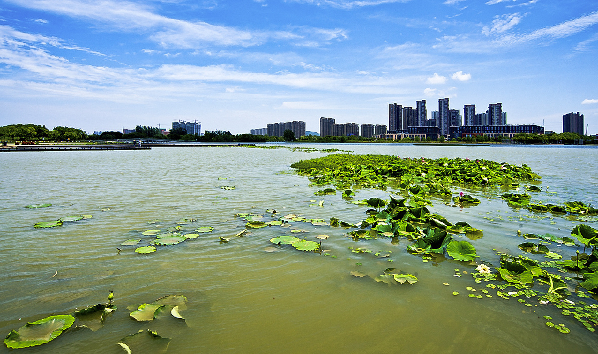 美丽南京之九十一莲花湖