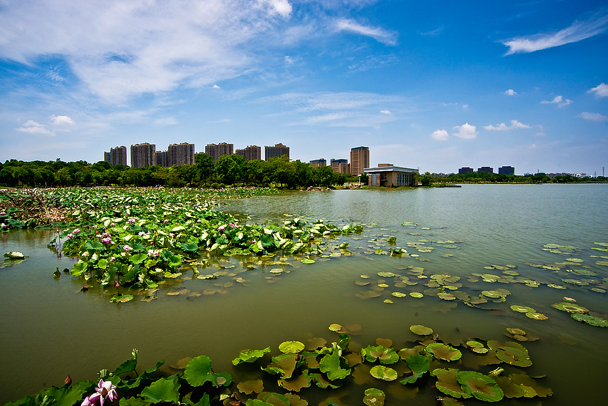 美丽南京之九十一莲花湖