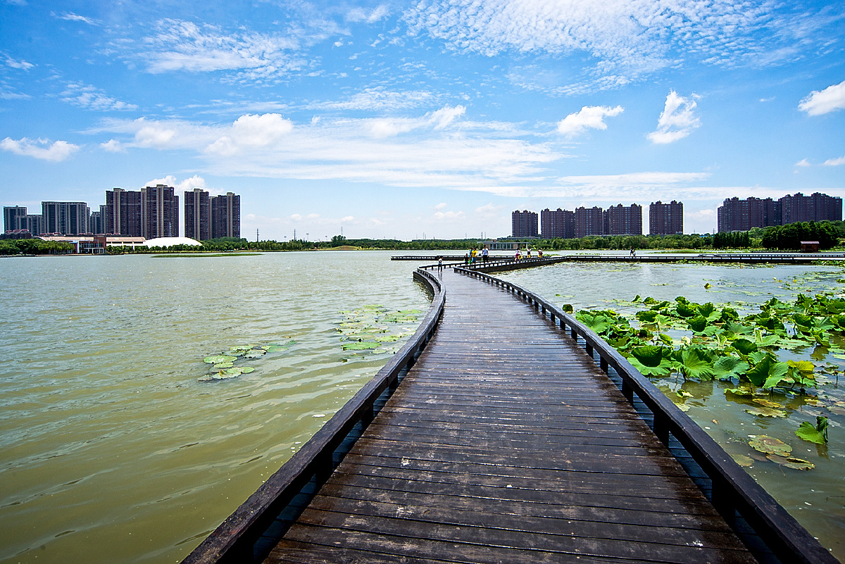 美丽南京之九十一莲花湖