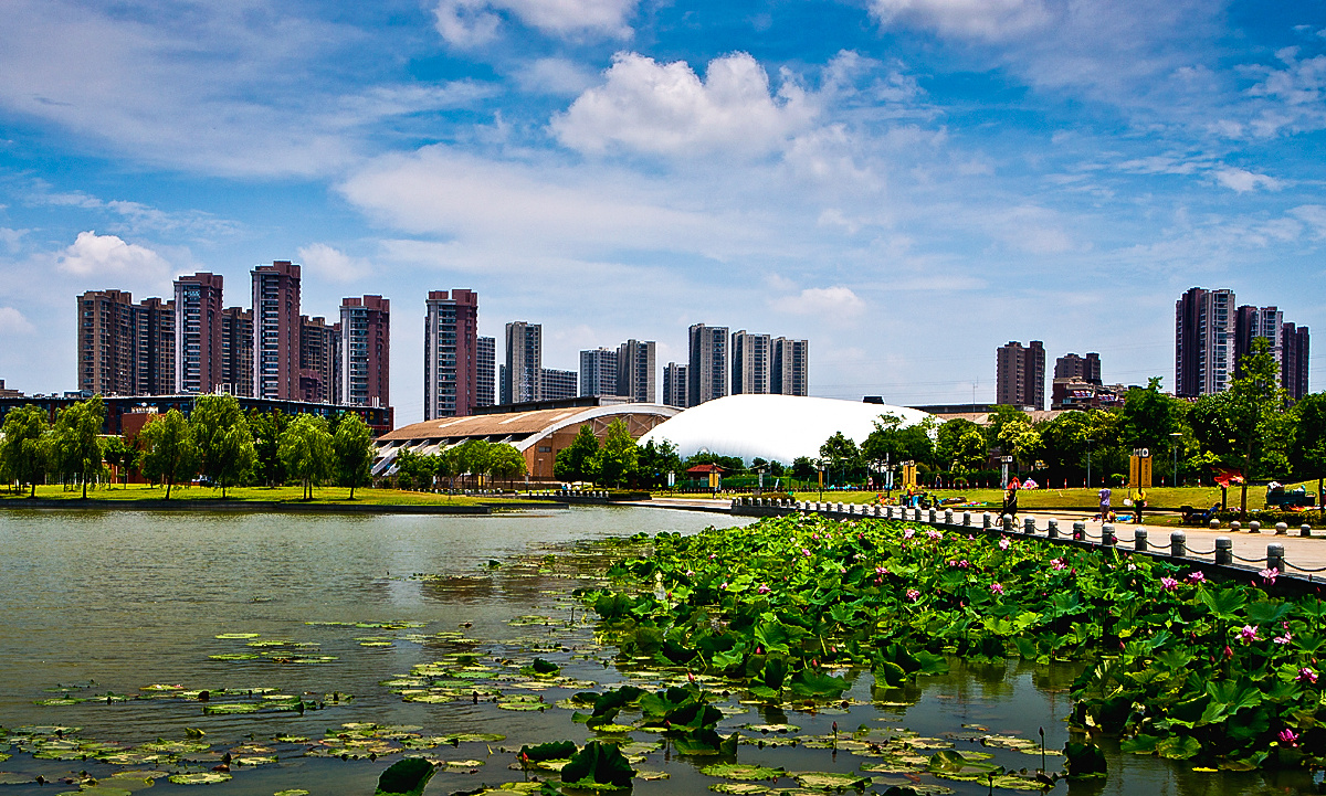 美丽南京之九十一莲花湖