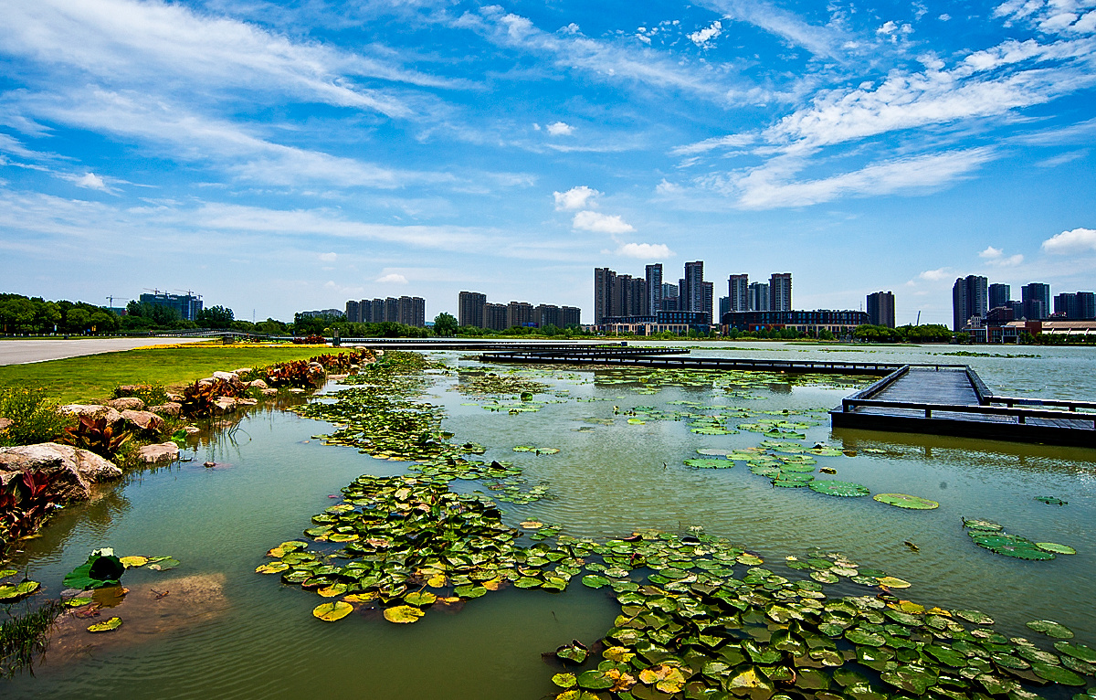 美丽南京之九十一莲花湖