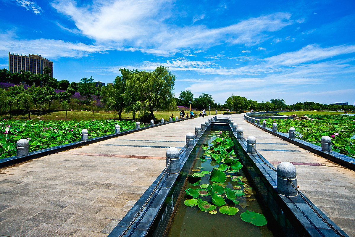 美丽南京之九十一莲花湖