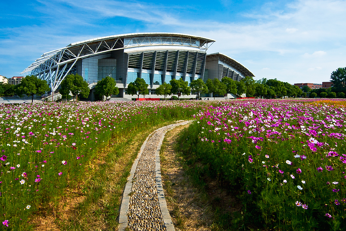 美丽南京之九十二南京中医药大学格桑花