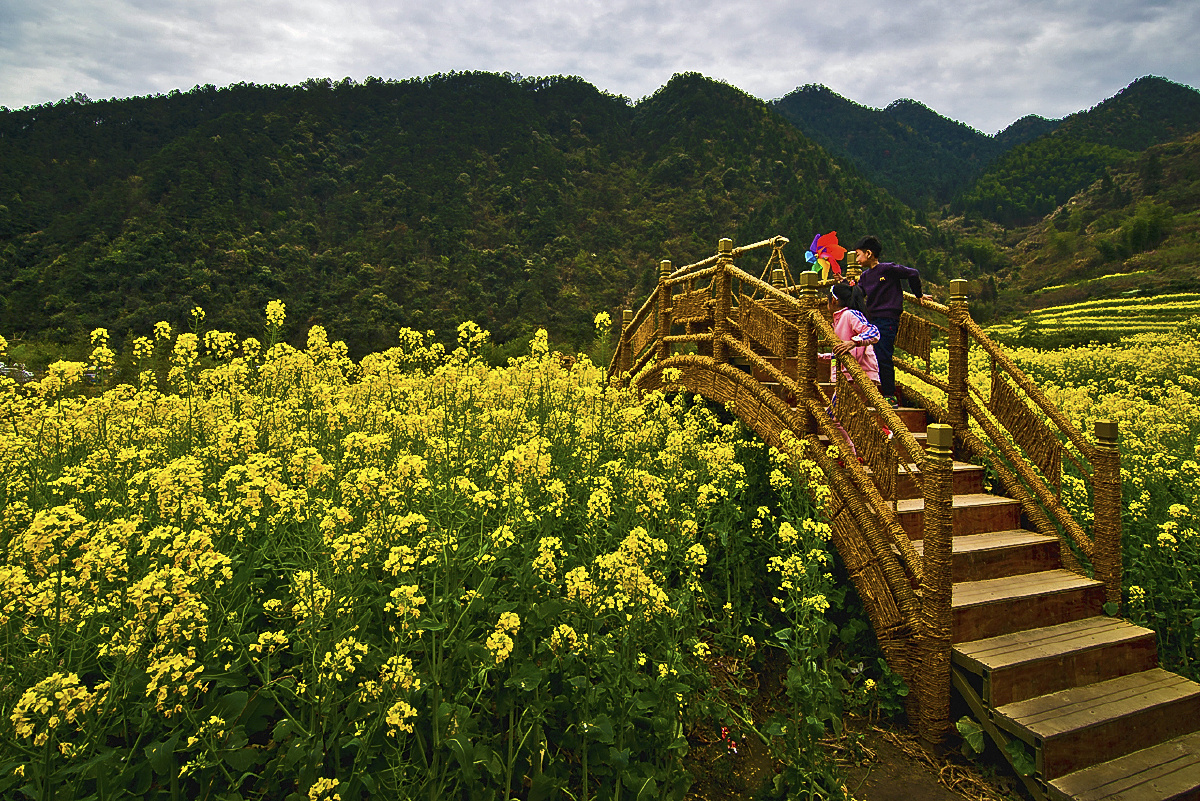 衢州开化台回山