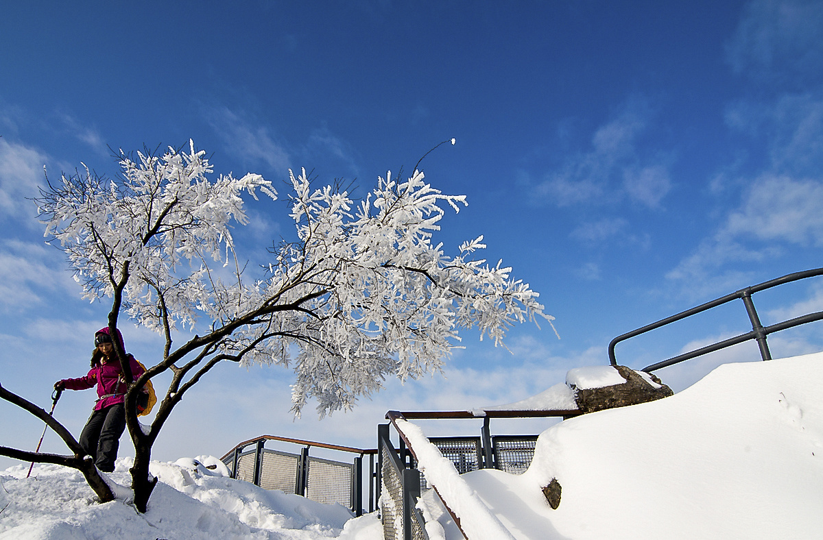 美丽南京之一百一十七紫金山雪景