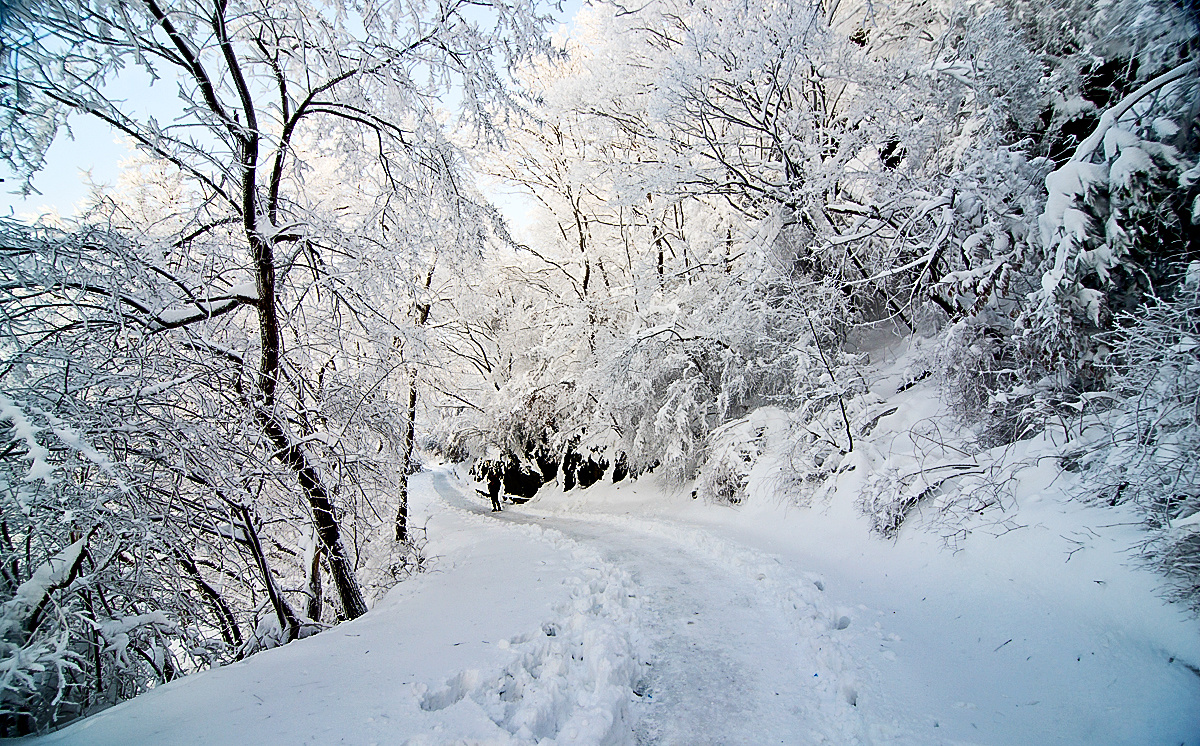 美丽南京之一百一十七紫金山雪景