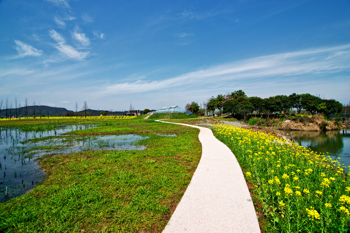 湖州德清下渚湖国家湿地公园