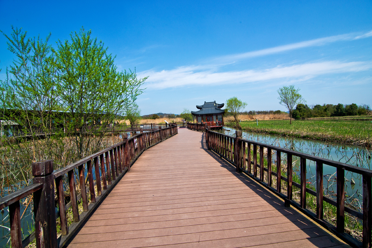 湖州德清下渚湖国家湿地公园