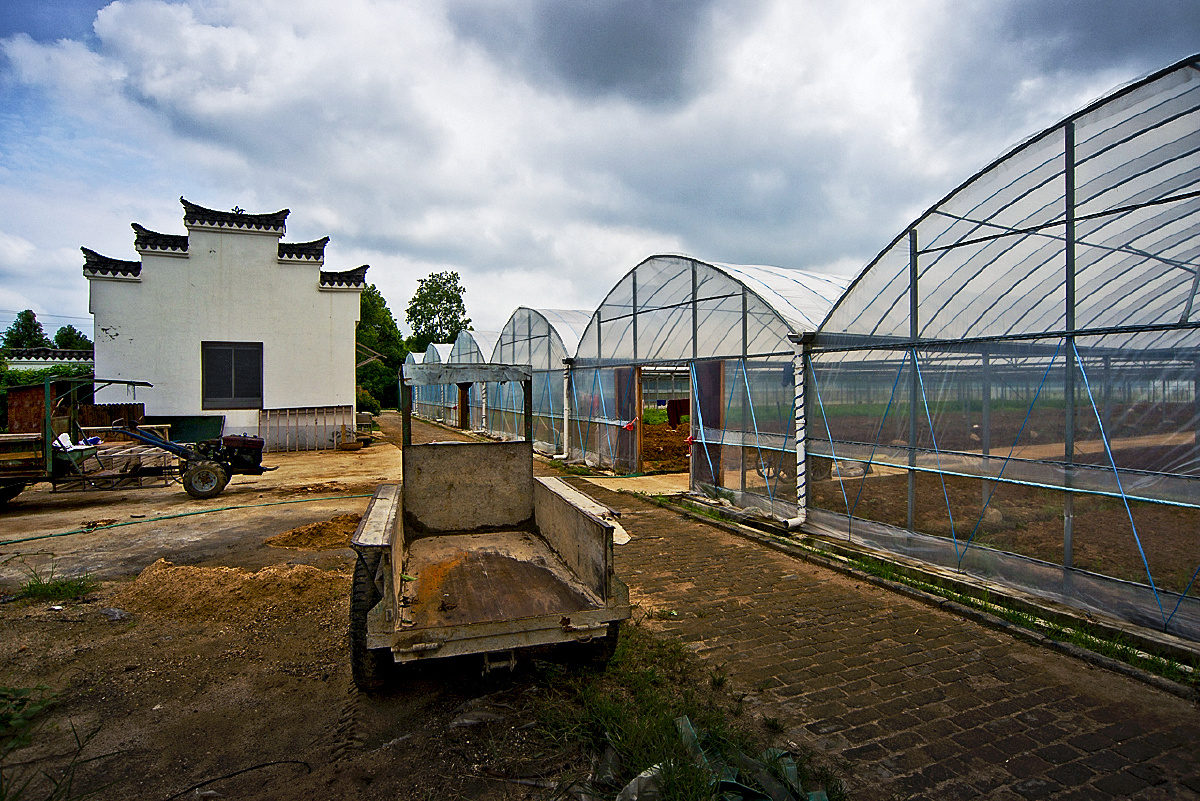 美丽南京之一百二十八浦口万成生态园