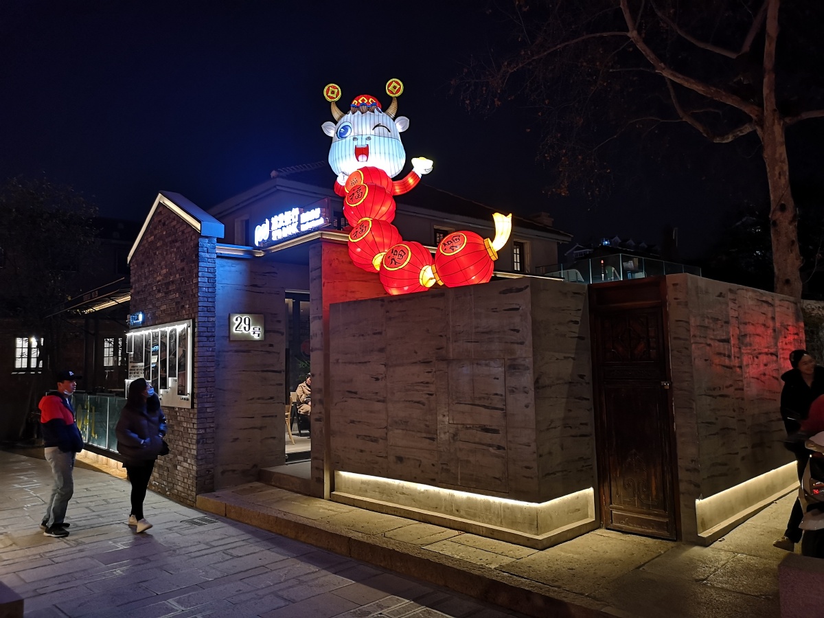 美丽南京之一百四十九小西湖历史街区20210219