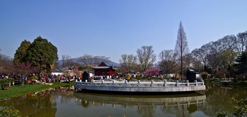 DSC_1075.jpg