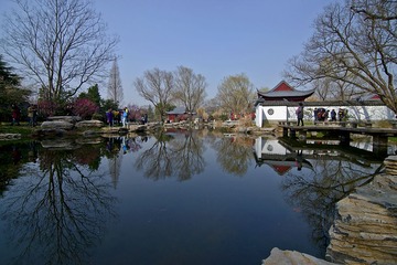 梅花山DSC_1072.jpg