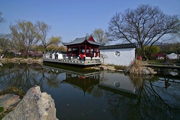 梅花山DSC_1070.jpg