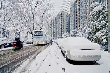 门前雪DSC_0892.jpg