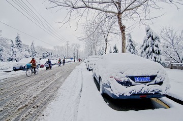 门前雪DSC_0893.jpg