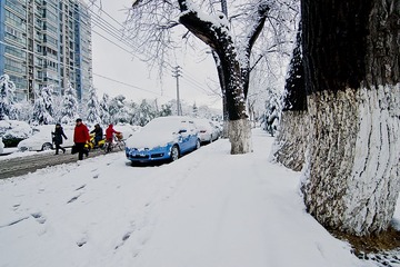 门前雪DSC_0894.jpg