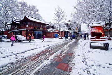 夫子庙雪景DSC_0927.jpg