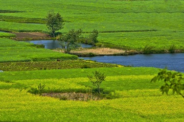 响水涧cDSC_0016 (59).JPG